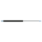 Bansbach  A1N1-50-200-485--0XX 50-800N 의 대체품