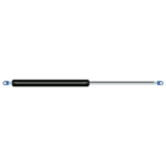 Bansbach  B1N3-45-250-601--0XX 150-2500N 의 대체품